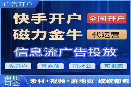 成功运用SEM服务实现品牌推广的案例分析
